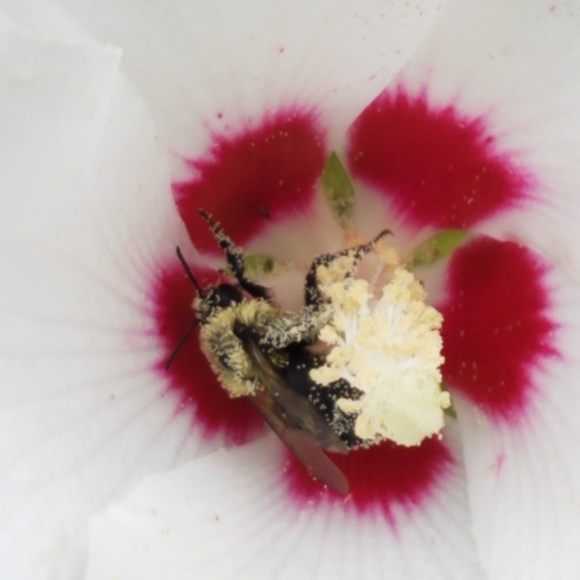 Meet your Posher, Virginia - Picture 2 of 6